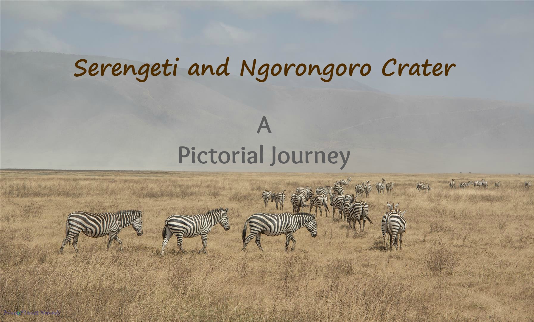 The Serengeti and Ngorongoro Crater – A Pictorial Journey